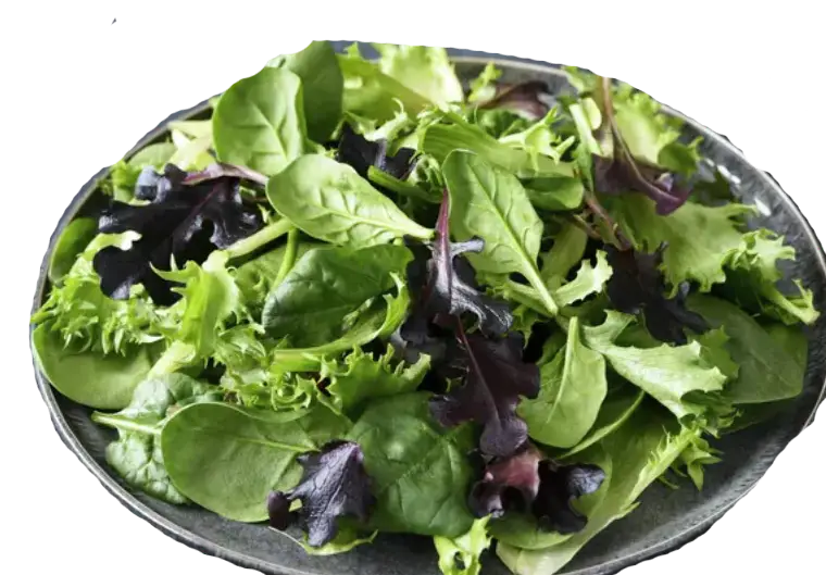 SALADE VERTE